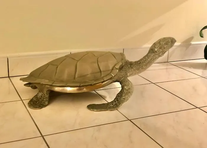 公寓 Splendide Et Spacieux Appartement, Face A La *